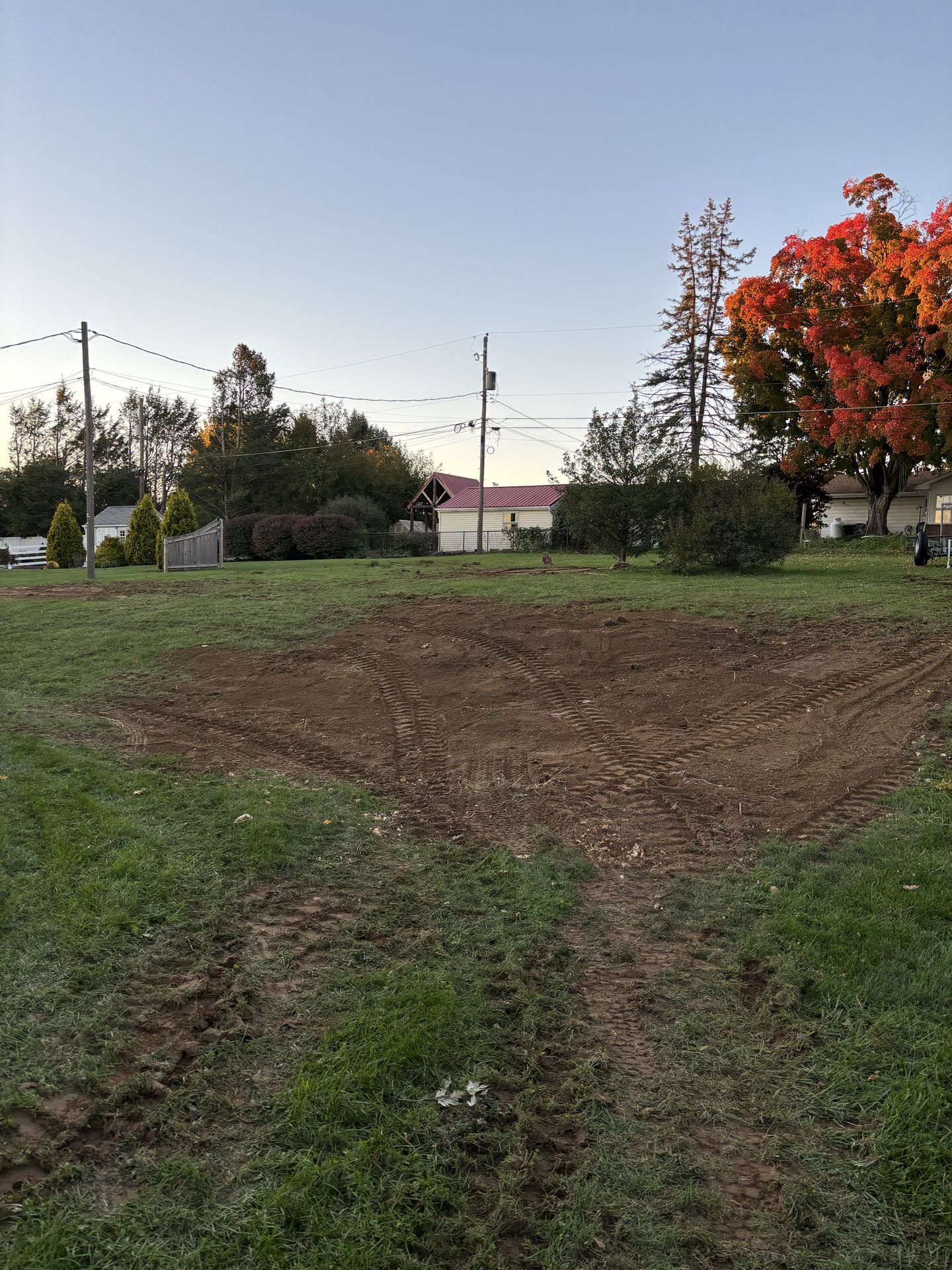Cleared and graded backyard ground after brush and stump removal